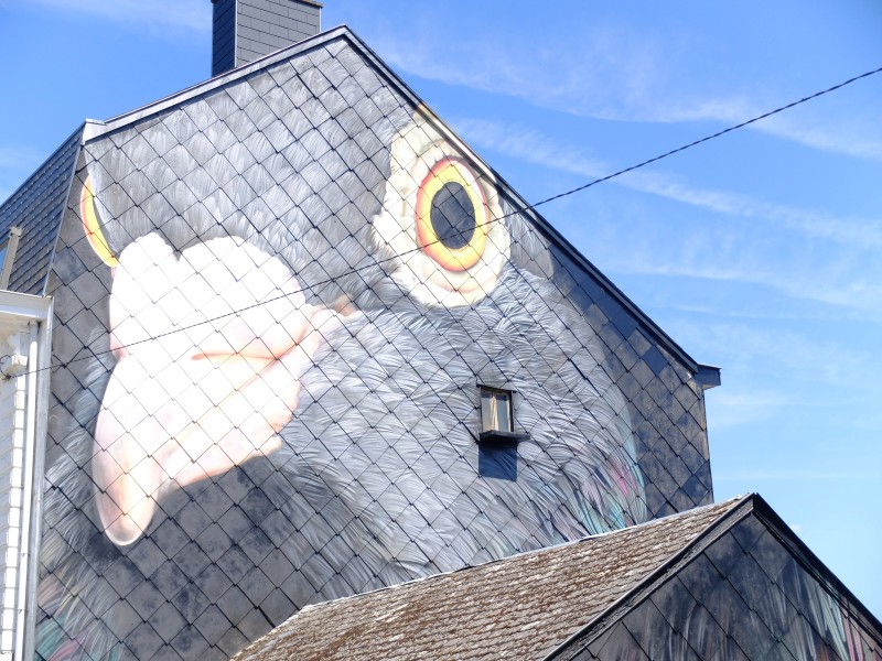 DSCF6963.jpg