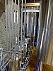 DSCF6631.jpg