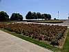 DSCF6661.jpg