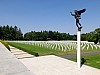 DSCF6667.jpg