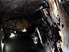 DSCF6796.jpg